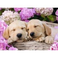 Cute Friends XXL 300pc Jigsaw Puzzle Extra Image 1 Preview